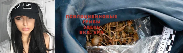 гашик Бородино