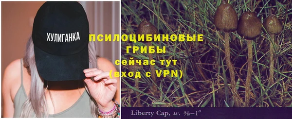 MDMA Premium VHQ Верхний Тагил